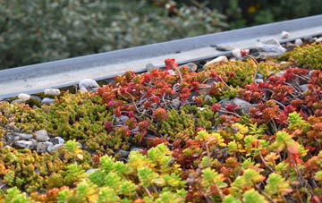 the cost of Thornton Le Clay green roof installation