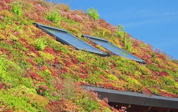Thornton Le Clay living roof systems