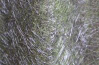 Thornton Le Clay fibreglass roof work